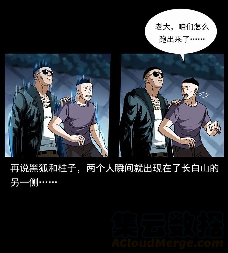 幽冥诡匠 310 黑狐的神仙日子 第85页