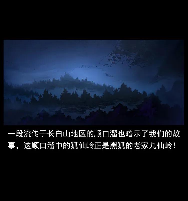 幽冥诡匠 310 黑狐的神仙日子 第3页