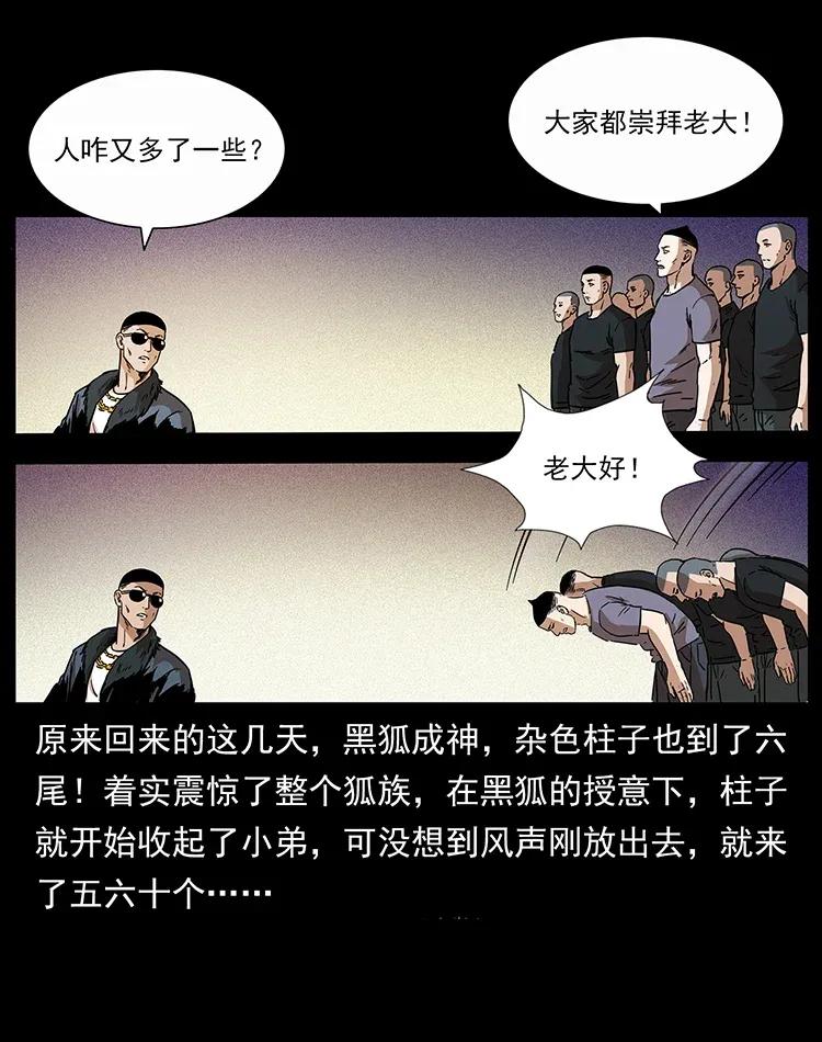 幽冥诡匠 310 黑狐的神仙日子 第15页