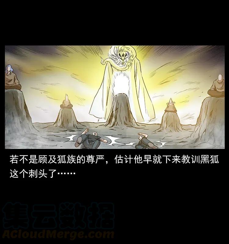 幽冥诡匠 310 黑狐的神仙日子 第49页