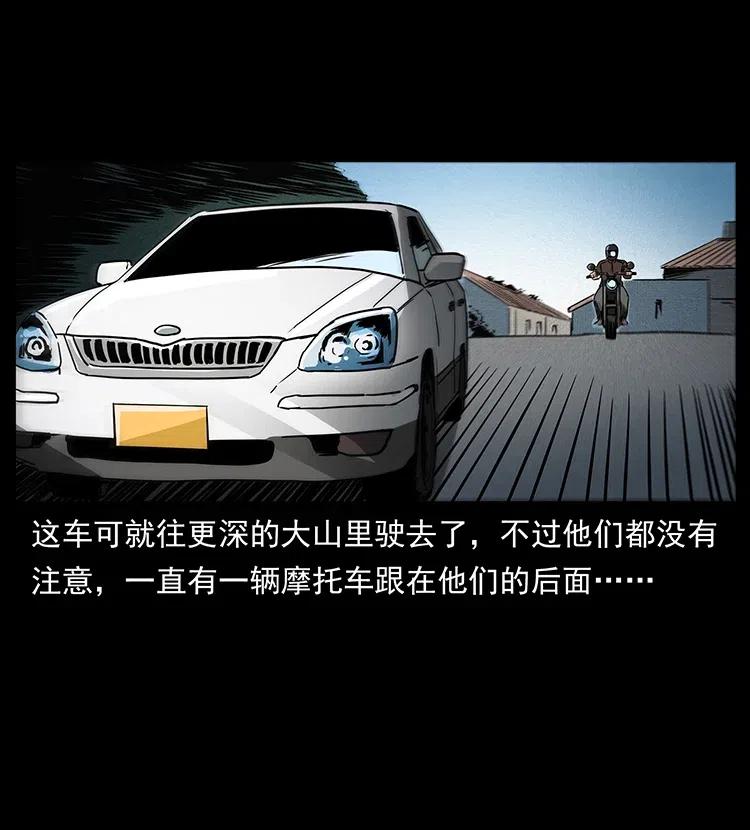 幽冥诡匠 311 一窝生几个？ 第52页