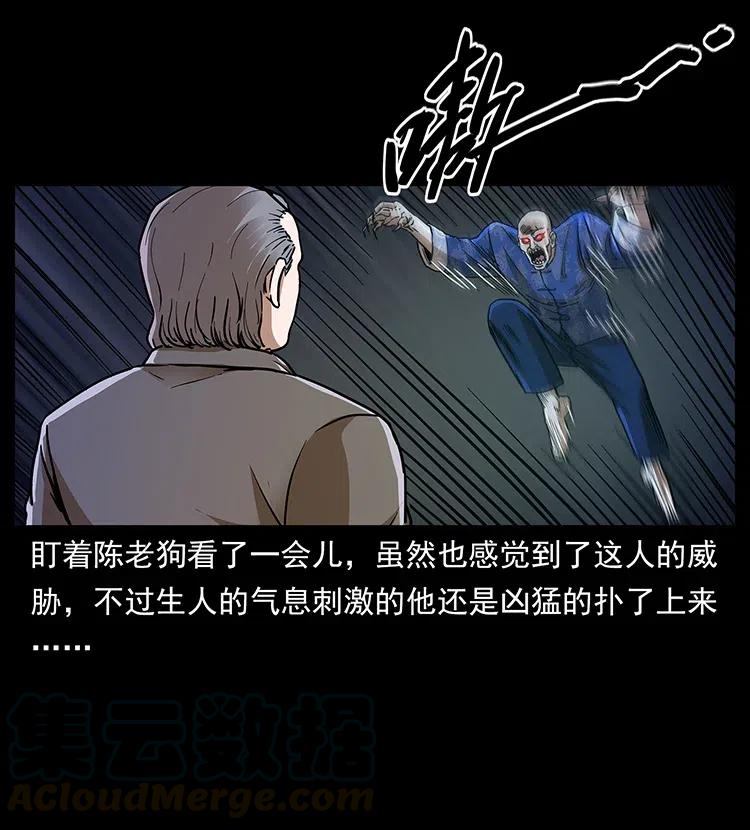 幽冥诡匠 313 兽形僵尸 第5页