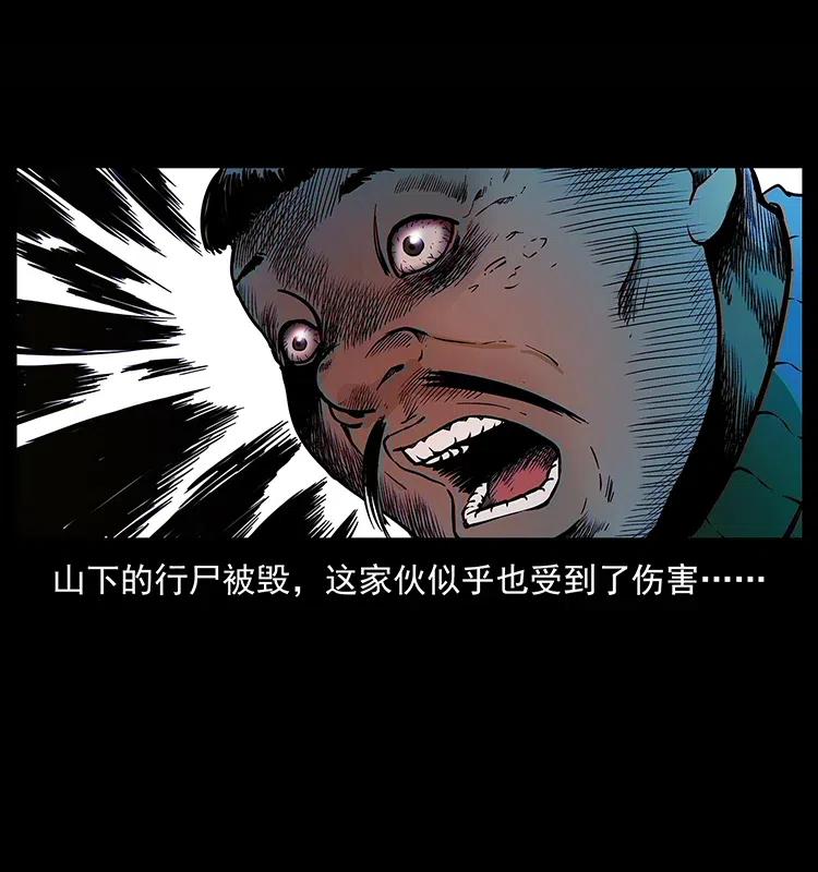 幽冥诡匠 313 兽形僵尸 第30页