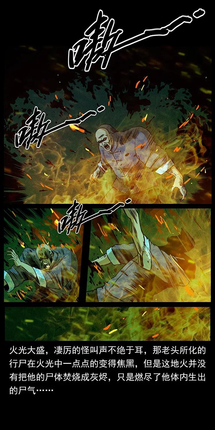 幽冥诡匠 313 兽形僵尸 第26页