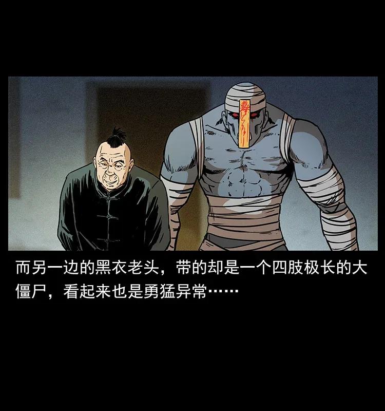 幽冥诡匠 314 湘西斗尸 第63页