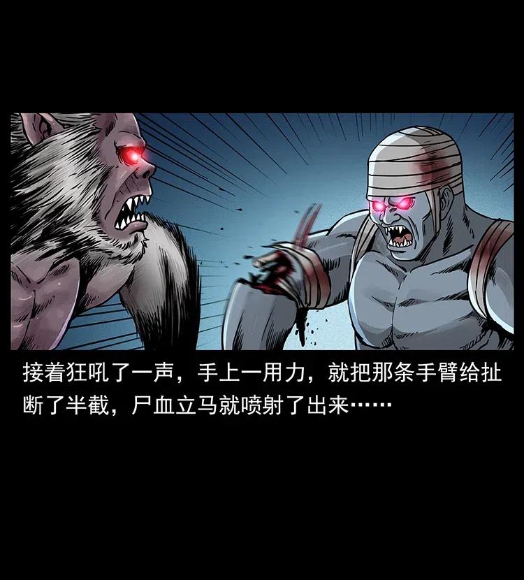 幽冥诡匠 314 湘西斗尸 第76页