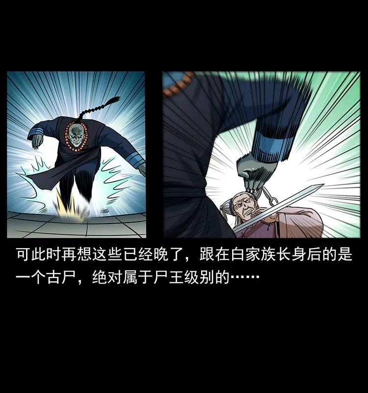 幽冥诡匠 314 湘西斗尸 第28页