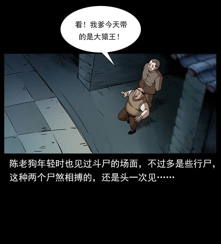 幽冥诡匠 314 湘西斗尸 第82页