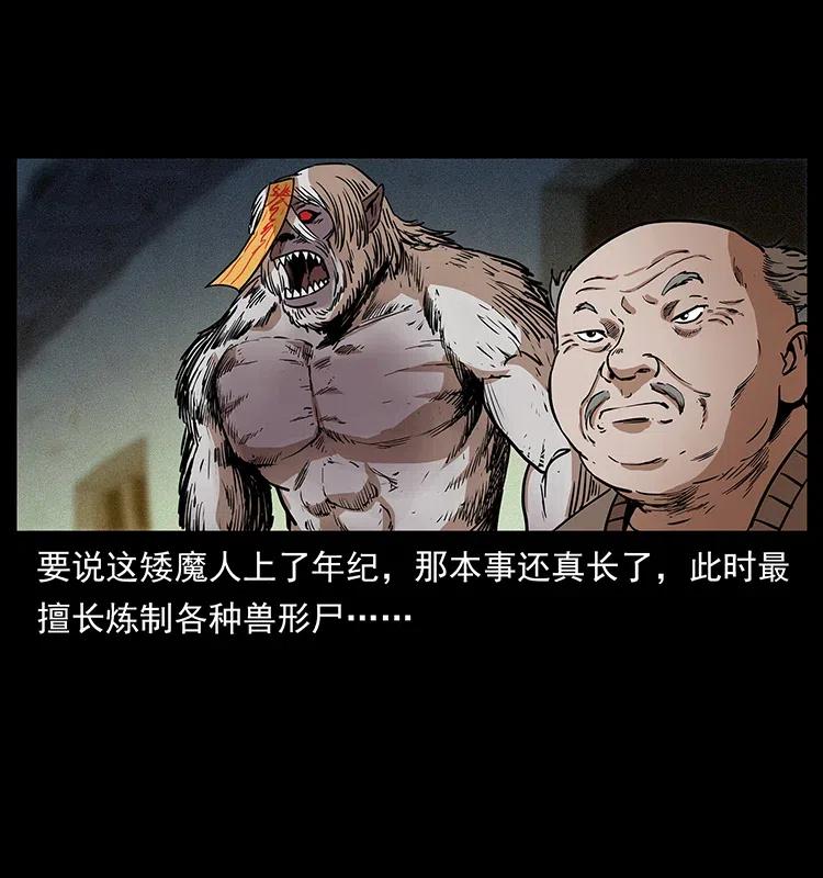 幽冥诡匠 314 湘西斗尸 第62页