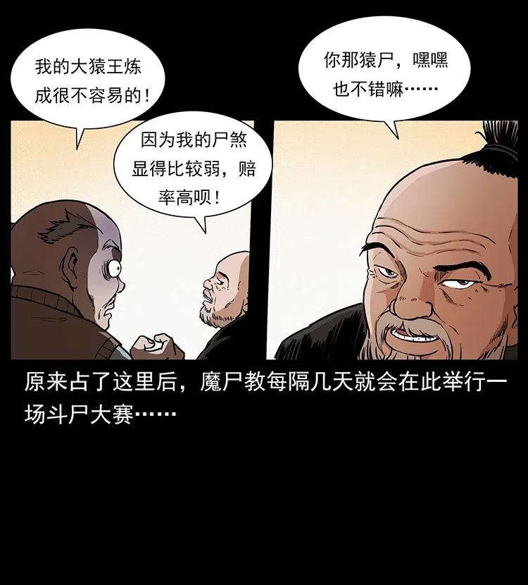 幽冥诡匠 314 湘西斗尸 第48页