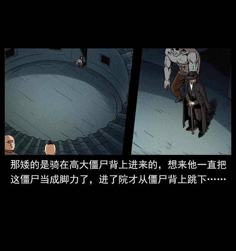 幽冥诡匠 314 湘西斗尸 第51页