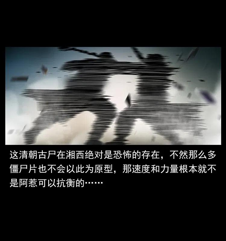 幽冥诡匠 314 湘西斗尸 第30页