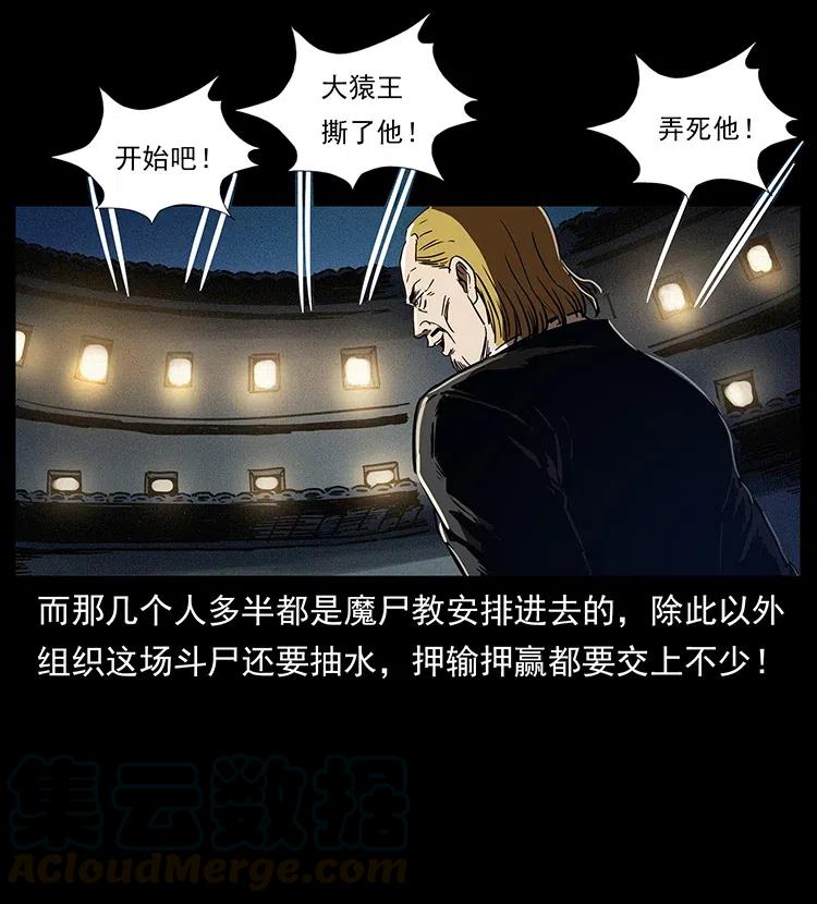 幽冥诡匠 314 湘西斗尸 第69页