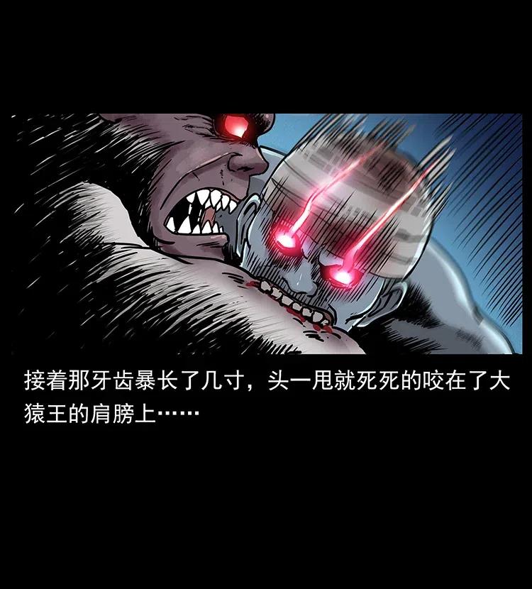 幽冥诡匠 314 湘西斗尸 第78页