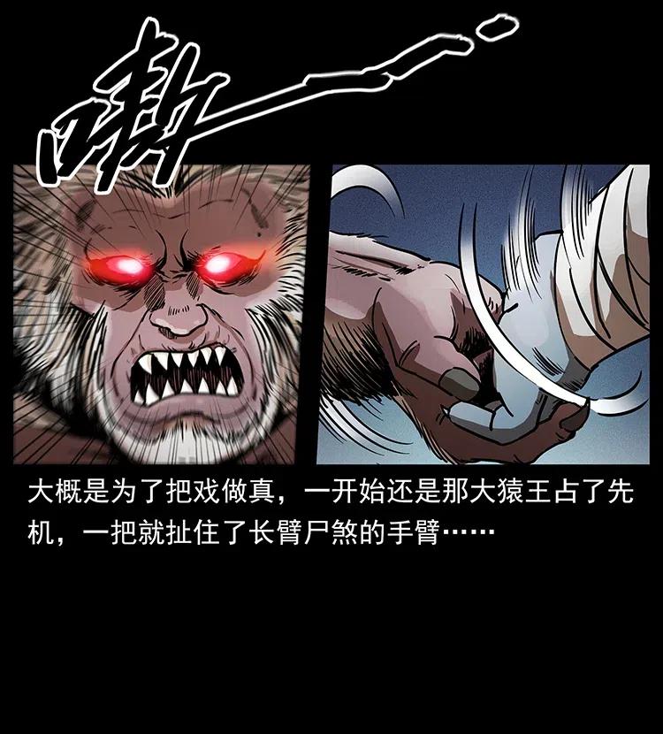 幽冥诡匠 314 湘西斗尸 第75页