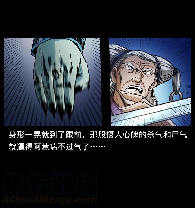 幽冥诡匠 314 湘西斗尸 第29页