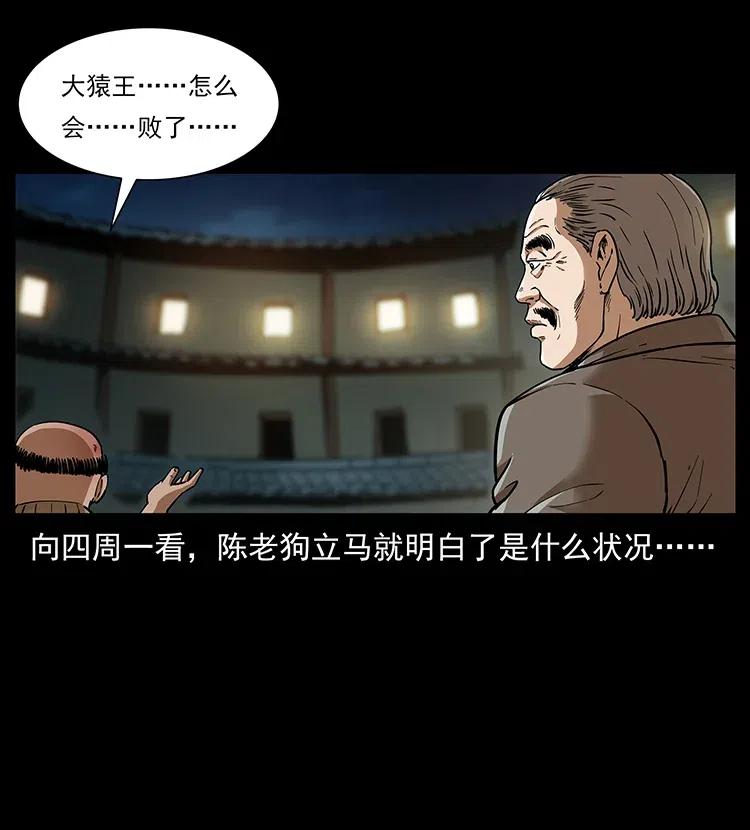 幽冥诡匠 314 湘西斗尸 第84页