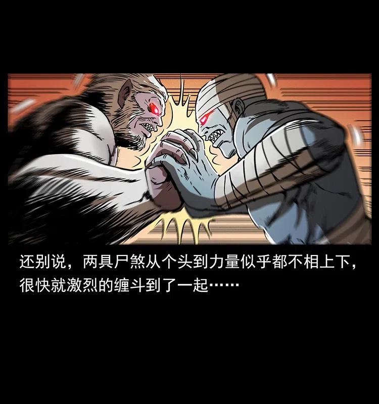 幽冥诡匠 314 湘西斗尸 第74页