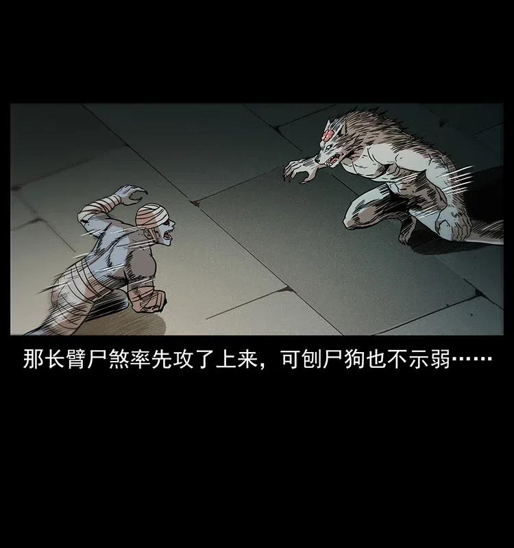 幽冥诡匠 315 盛宴 第22页