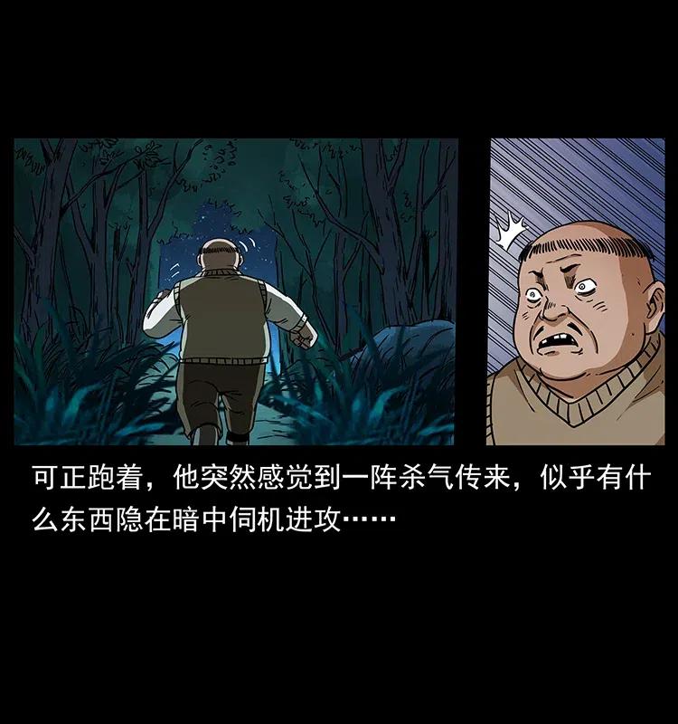 幽冥诡匠 315 盛宴 第74页