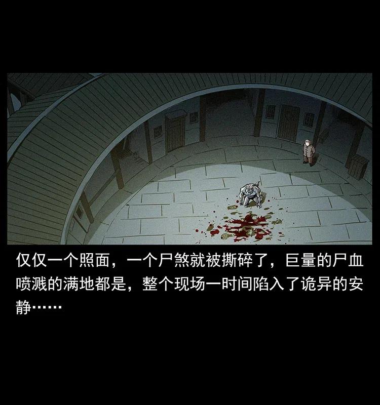 幽冥诡匠 315 盛宴 第27页