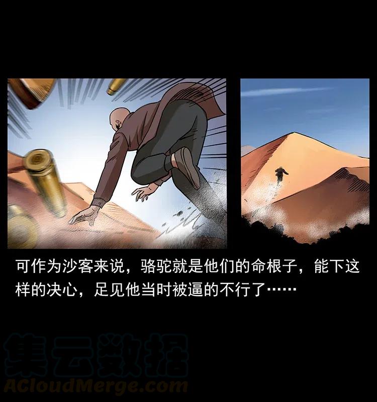 幽冥诡匠 317 大漠凶兽 第25页