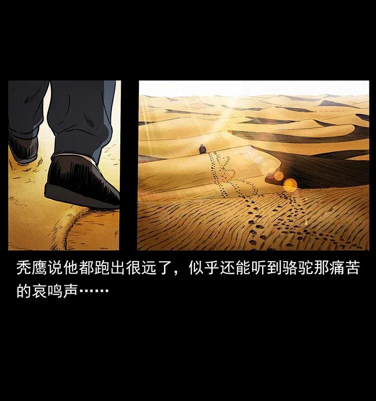 幽冥诡匠 317 大漠凶兽 第27页