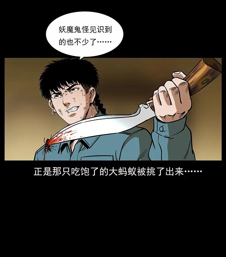幽冥诡匠 317 大漠凶兽 第43页