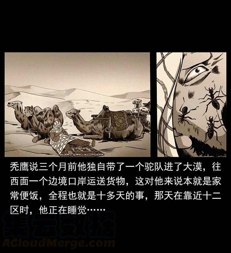幽冥诡匠 317 大漠凶兽 第13页