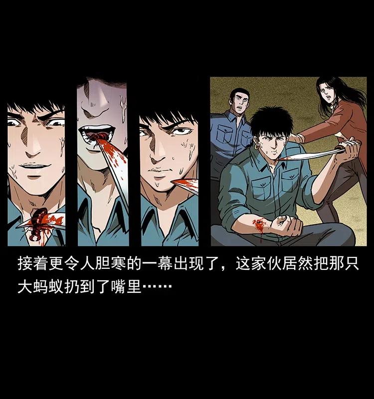 幽冥诡匠 317 大漠凶兽 第44页