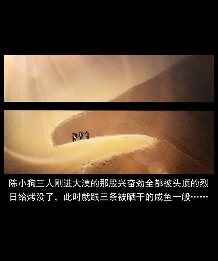幽冥诡匠 318 沙漠秃鹰 第2页