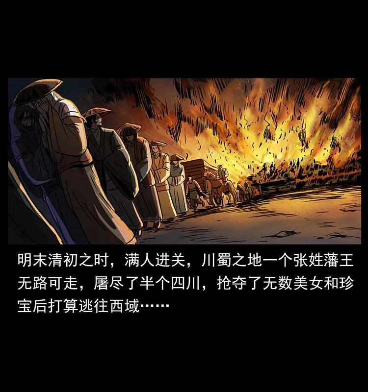 幽冥诡匠 318 沙漠秃鹰 第51页