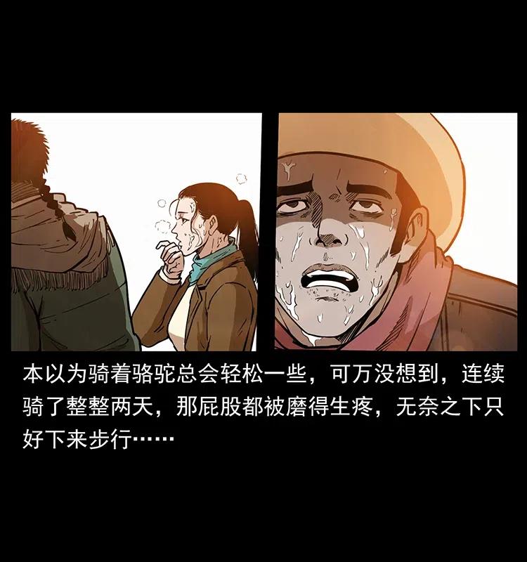 幽冥诡匠 318 沙漠秃鹰 第3页