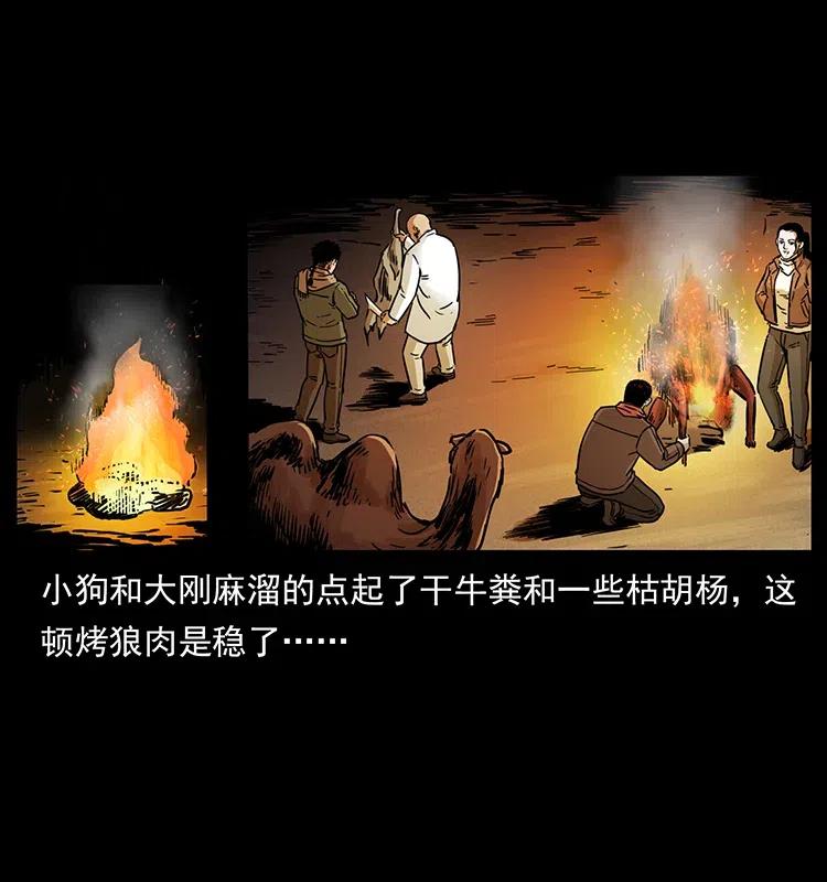 幽冥诡匠 318 沙漠秃鹰 第40页