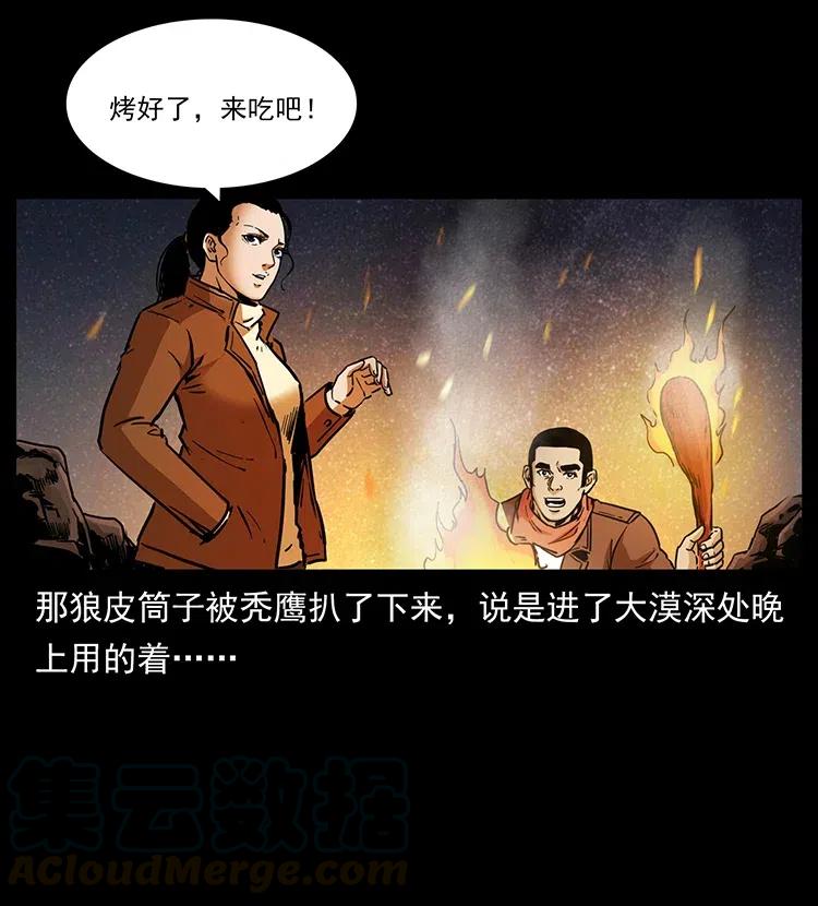幽冥诡匠 318 沙漠秃鹰 第41页