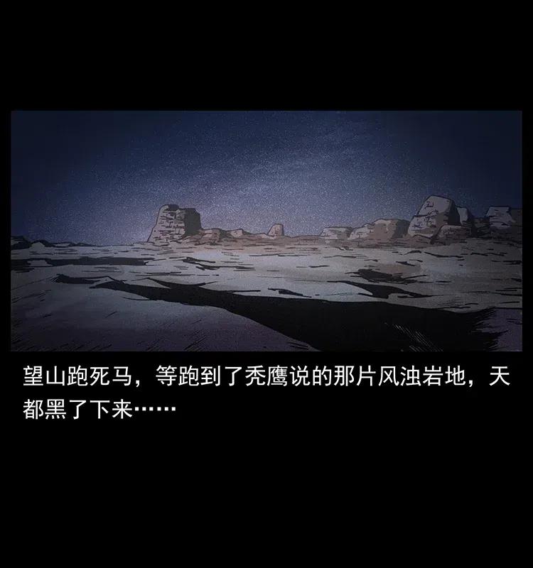 幽冥诡匠 318 沙漠秃鹰 第12页