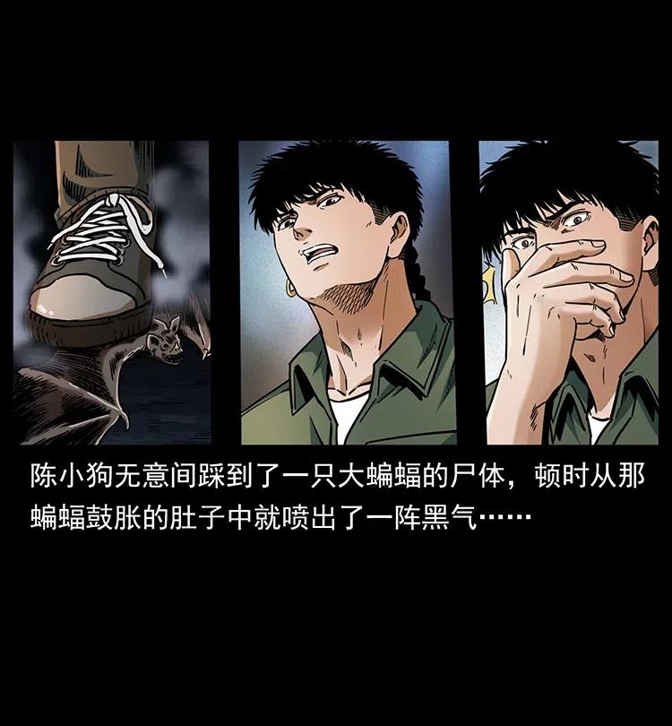 幽冥诡匠 320 夜魔老大 第31页
