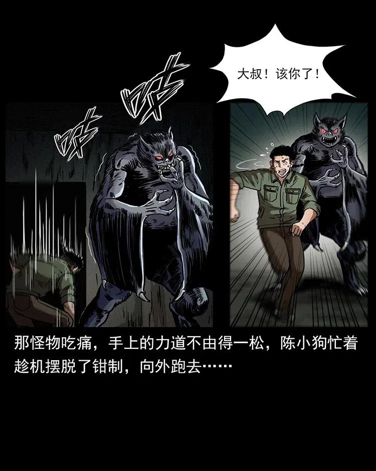幽冥诡匠 320 夜魔老大 第47页