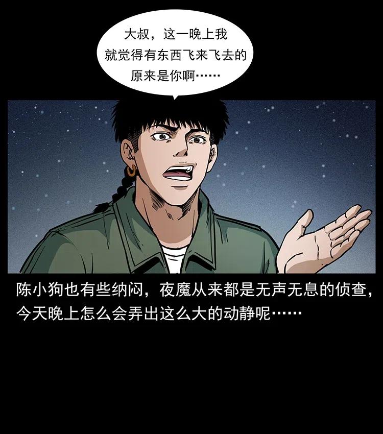 幽冥诡匠 320 夜魔老大 第11页