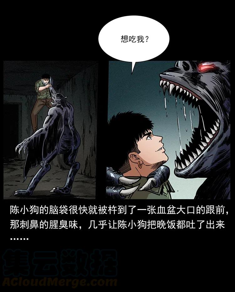 幽冥诡匠 320 夜魔老大 第45页