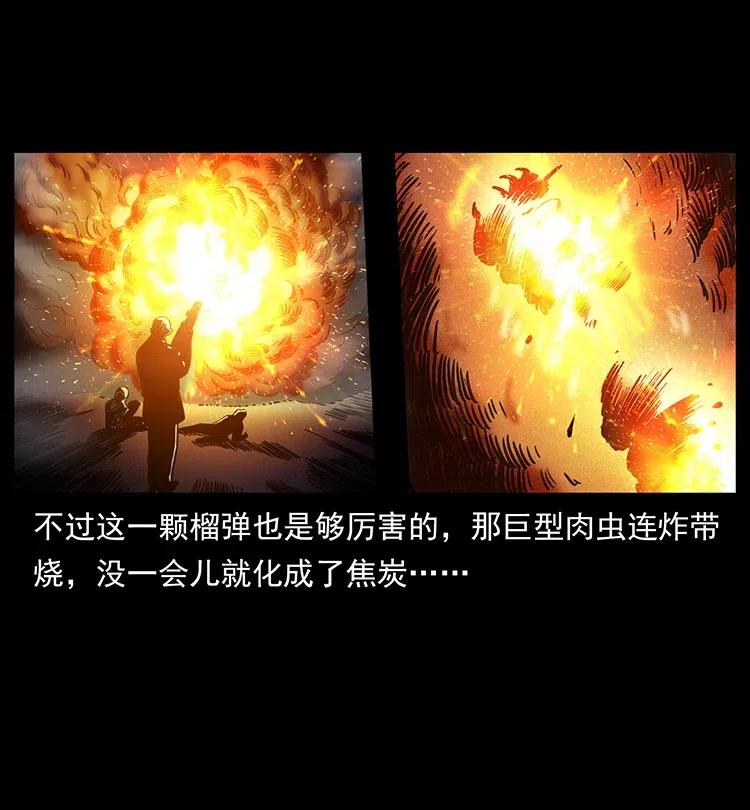 幽冥诡匠 323 地球之耳 第47页