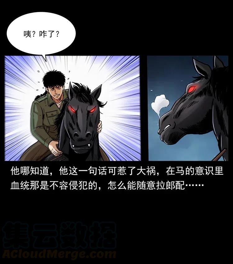 幽冥诡匠 326 妖驹乌云 第49页