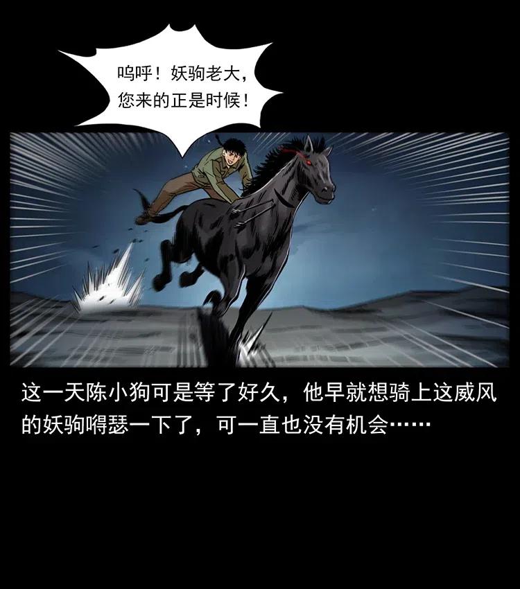 幽冥诡匠 326 妖驹乌云 第47页