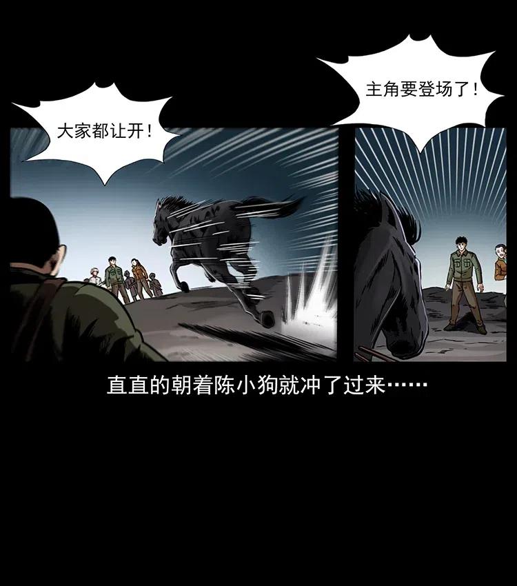 幽冥诡匠 326 妖驹乌云 第46页
