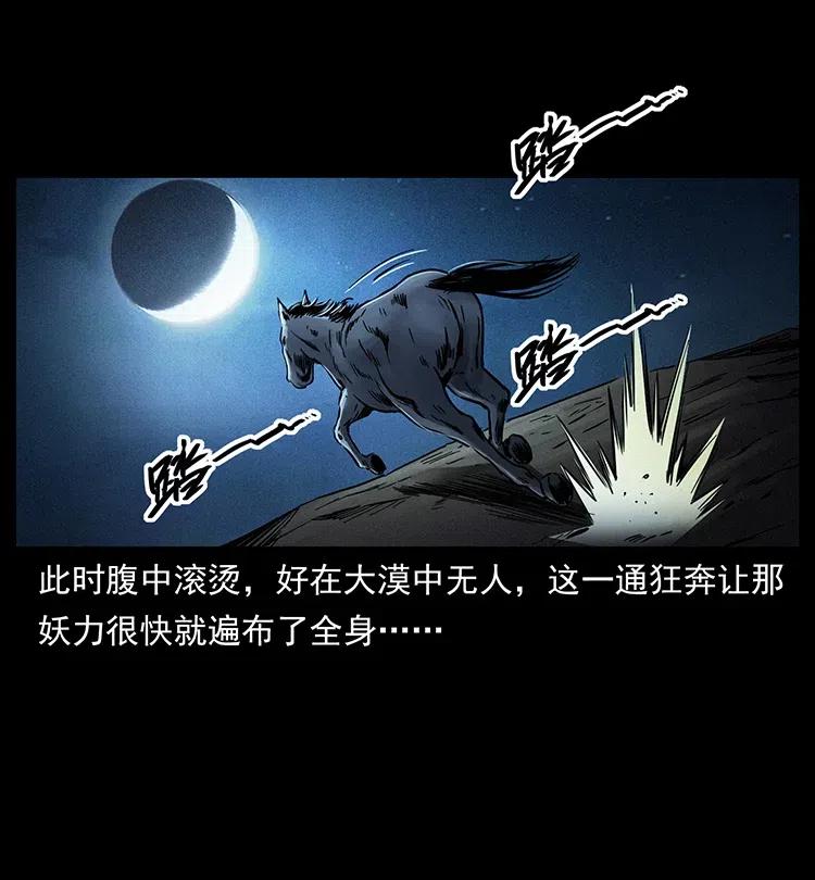幽冥诡匠 327 再见！大漠 第6页