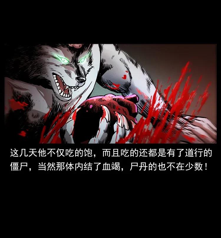 幽冥诡匠 327 再见！大漠 第83页