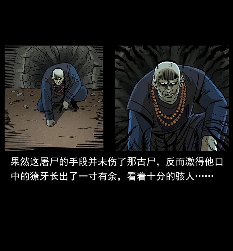 幽冥诡匠 329 这个老头不好惹 第47页