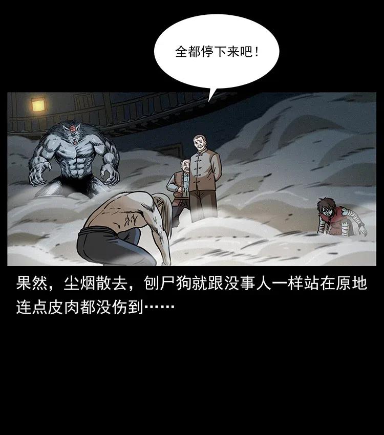 幽冥诡匠 331 樊家尸王经 第30页