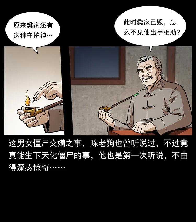 幽冥诡匠 332 挺进大湘西 第36页