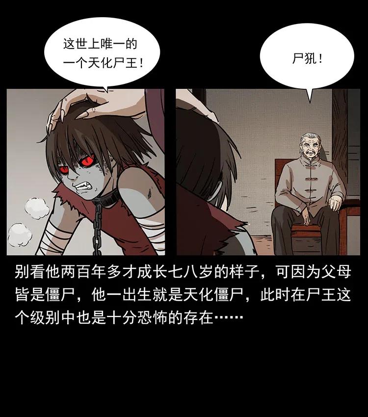 幽冥诡匠 332 挺进大湘西 第35页
